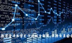 2023年数字货币加密支付规则全解析：保障交易安