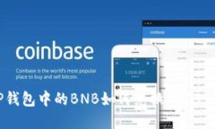 ### TP钱包中的BNB如何兑换SHIB: 完整指南