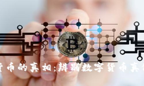 数字货币的真相：辨别数字货币真假指南