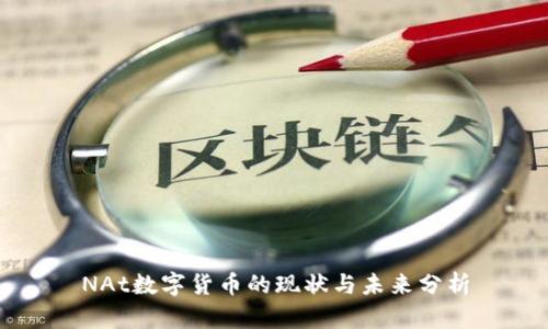 NAt数字货币的现状与未来分析