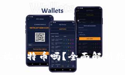 以太坊钱包可以存放比特币吗？全面解析数字货币钱包的应用