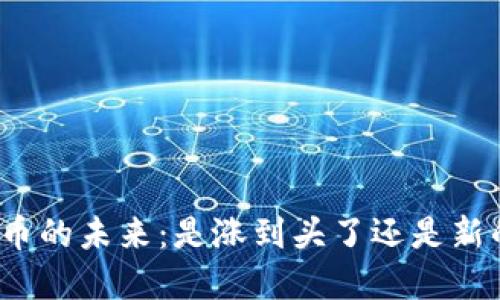 数字货币的未来：是涨到头了还是新的机遇？