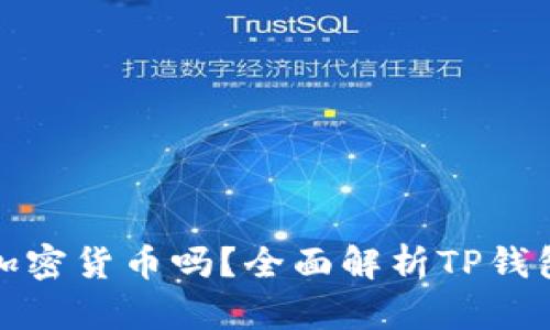 TP钱包能交易加密货币吗？全面解析TP钱包的功能与优势