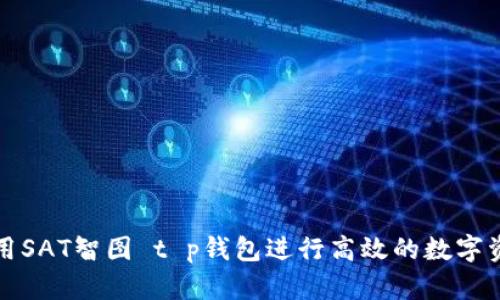 如何使用SAT智图 t p钱包进行高效的数字资产管理