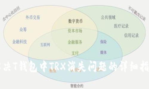 解决T钱包中TRX消失问题的详细指南
