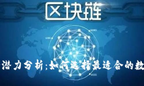 以太坊钱包申请潜力分析：如何选择最适合的数字资产管理工具