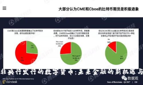 探索非央行发行的数字货币：未来金融的新机遇与挑战