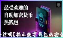 e宝钱包合法吗？揭示数字钱包的安全与合规性