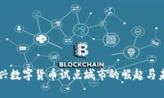 浙江嘉兴数字货币试点城市的崛起与未来展望