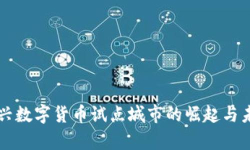 浙江嘉兴数字货币试点城市的崛起与未来展望