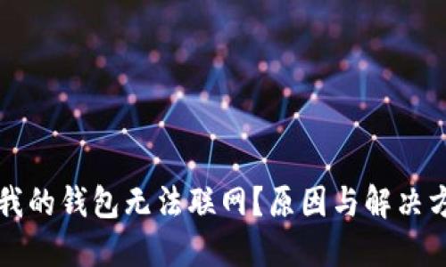 为什么我的钱包无法联网？原因与解决方案详解