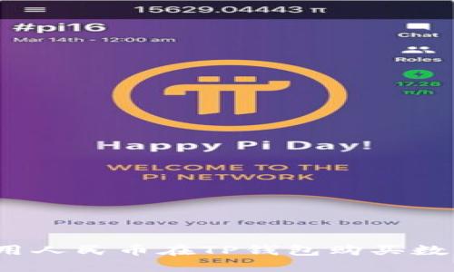 如何使用人民币在TP钱包购买数字货币？