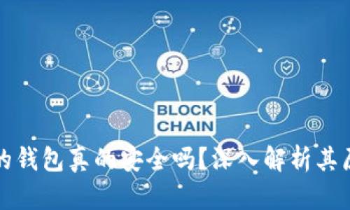 有助记词的钱包真的安全吗？深入解析其原理与风险