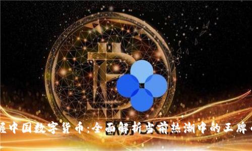 掌握中国数字货币：全面解析当前热潮中的王牌币种