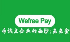 揭开中国数字货币试点企业的面纱：未来金融的