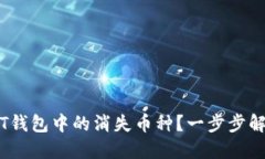 如何找回你T钱包中的消失币种？一步步解决你的