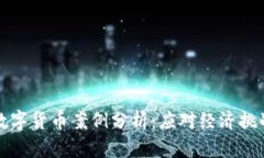 以色列数字货币案例分析：应对经济挑战与机遇