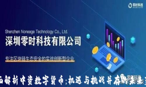 
全面解析中资数字货币：机遇与挑战并存的未来蓝图