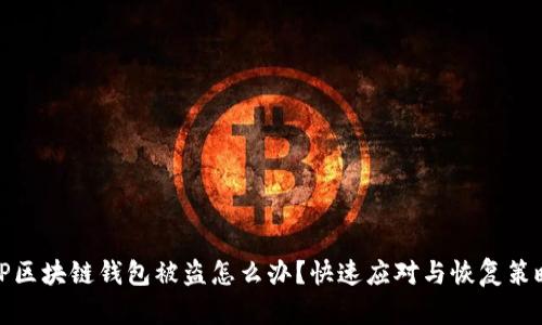 TP区块链钱包被盗怎么办？快速应对与恢复策略