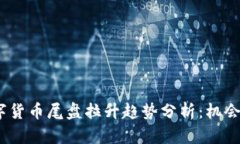 2023年数字货币尾盘拉升趋势分析：机会与挑战并