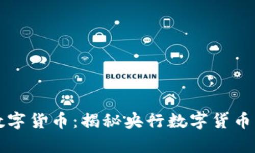 中国最大的数字货币：揭秘央行数字货币的未来与前景