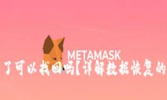 TP钱包删除了可以找回吗？详解数据恢复的方法与