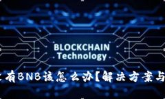 t.p钱包没有BNB该怎么办？解决方案与使用技巧