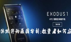 数字货币集体跌停的原因分析：投资者如何应对