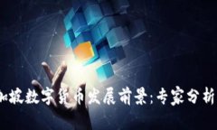 2023年新加坡数字货币发展前景：专家分析及趋势