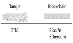 轻松上手：全面解析TP钱包的玩法与实用技巧