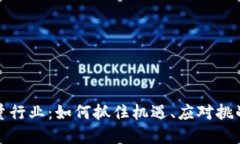 数字货币增量行业：如何抓住机遇、应对挑战和