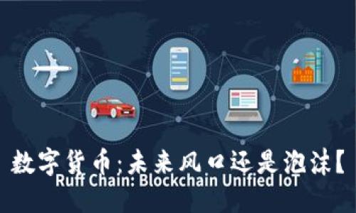 数字货币：未来风口还是泡沫？