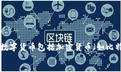 div
数字货币的英文是 