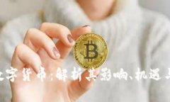 FRB数字货币：解析其影响、机遇与挑战