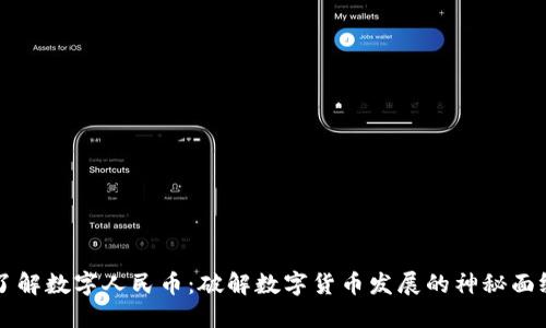 了解数字人民币：破解数字货币发展的神秘面纱