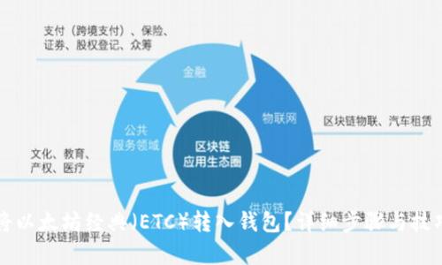 如何将以太坊经典（ETC）转入钱包？详细步骤与技巧解析