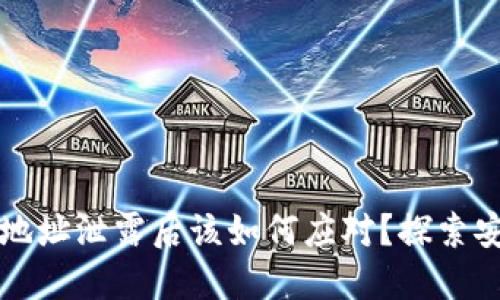 以太坊钱包地址泄露后该如何应对？探索安全防护策略