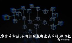 探索数字货币市场：如何识别底部龙头币种，抓