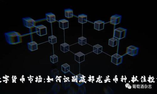 探索数字货币市场：如何识别底部龙头币种，抓住投资机遇