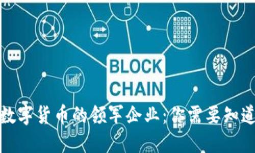  中国数字货币的领军企业：你需要知道哪些？